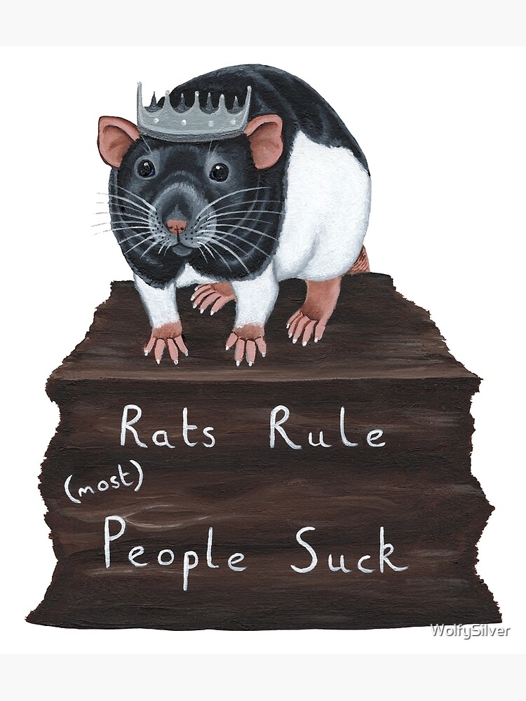  Vintage Rat King Art Print, Animal Art Print, Classic Art, A Rat  In Full Crown On Canvas, Vintage Animal Print, Rat King Wall Art : Handmade  Products