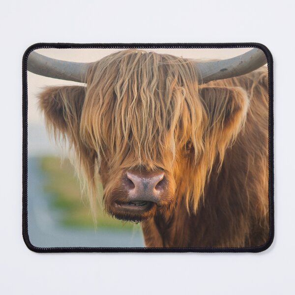 Item preview, Highland Cow designed and sold by David Lichtneker.