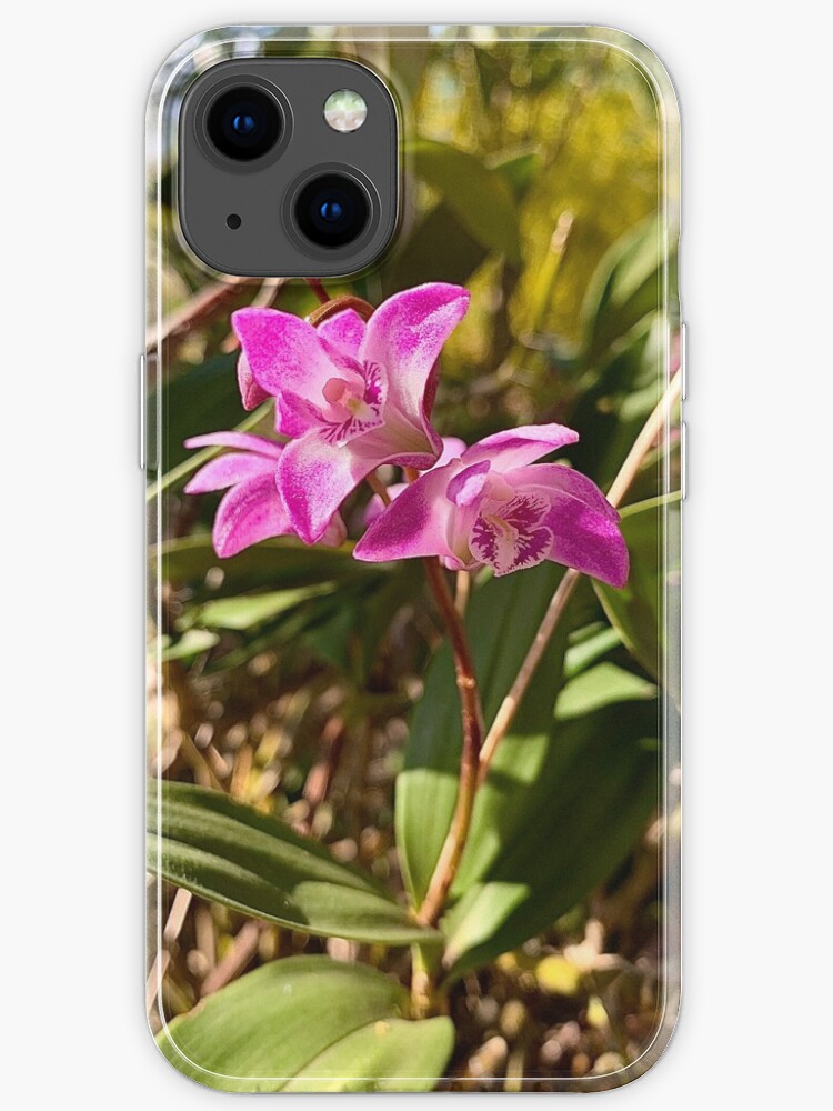 Funda de iPhone «La orquídea de roca rosada, Dendrobium kingianum» de RiaV  | Redbubble