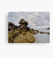 Down by the Bay Metal Print