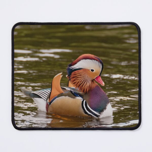 Item preview, Mandarin duck  designed and sold by koalas1414.