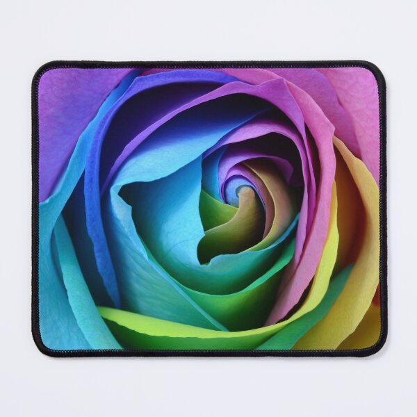 Item preview, Multicolor Rose in Bloom designed and sold by AnnoyedMouse.