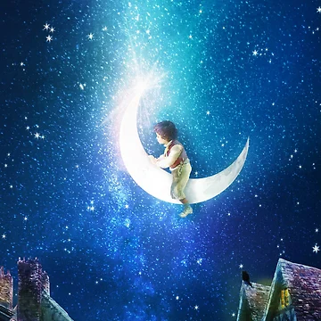 Artwork thumbnail, Moon Rider by DVerissimo