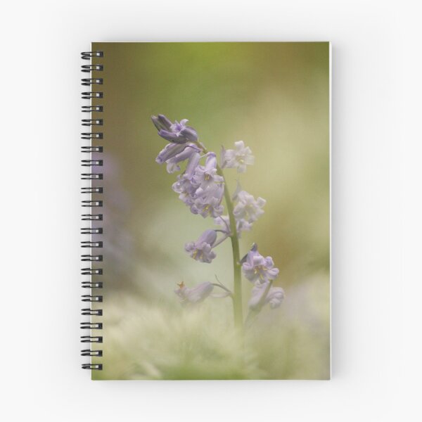 Item preview, Digital Photograph of Bluebell Flower  designed and sold by SimonJohnson1.