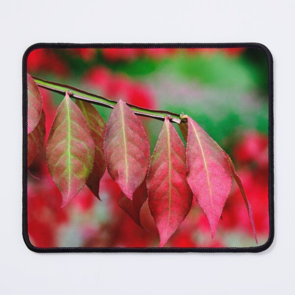 Item preview, Euonymus alatus Leaves designed and sold by Dency Kane.