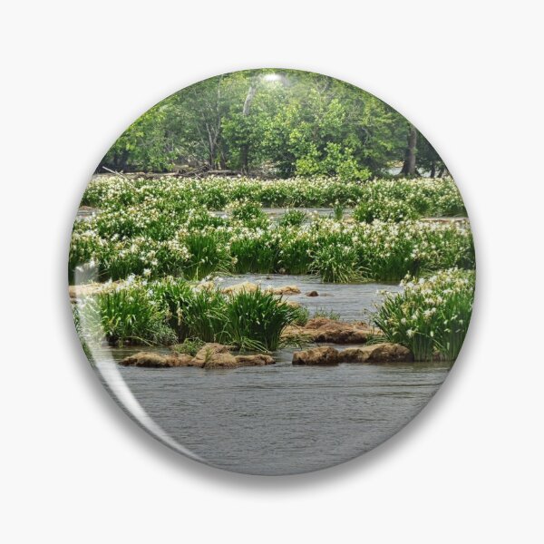 Item preview, Shoals Spider Lily At Landsford Canal State Park South Carolina 2 designed and sold by LisaWootenPhoto.