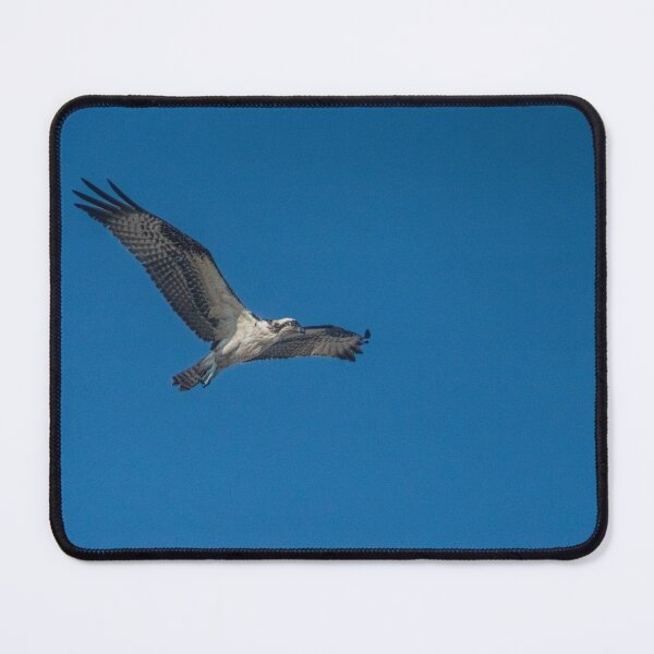 Item preview, Osprey designed and sold by KensLensDesigns.