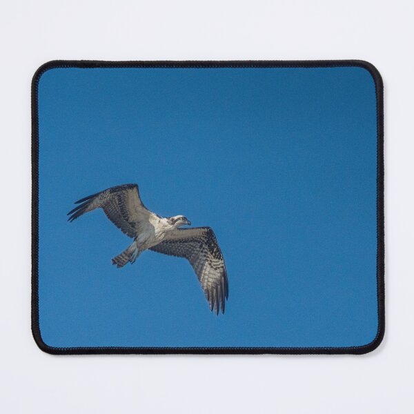 Item preview, Osprey designed and sold by KensLensDesigns.