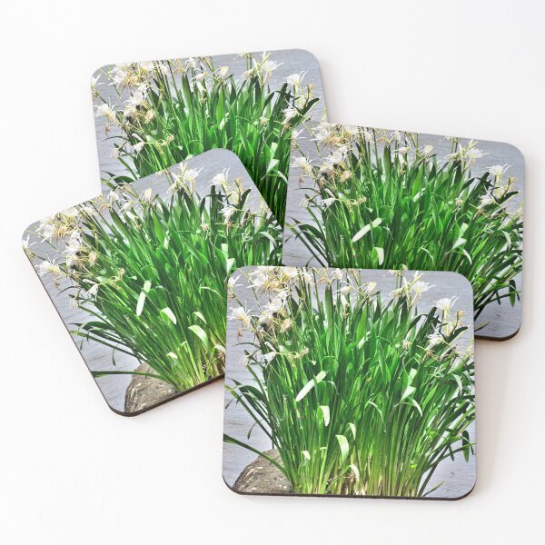 Item preview, Spider Lily At Landsford Canal State Park South Carolina 2 designed and sold by LisaWootenPhoto.