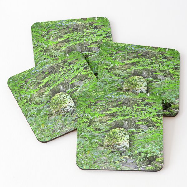 Item preview, Hidden History At Landsford Canal State Park South Carolina designed and sold by LisaWootenPhoto.