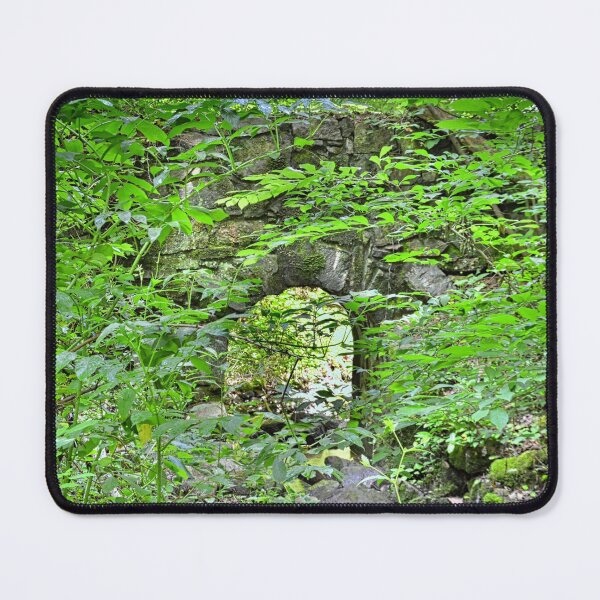 Item preview, Hidden History At Landsford Canal State Park South Carolina designed and sold by LisaWootenPhoto.