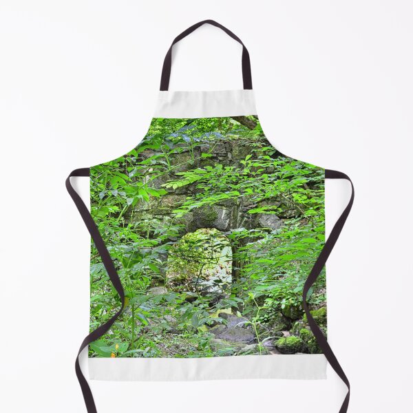 Item preview, Hidden History At Landsford Canal State Park South Carolina designed and sold by LisaWootenPhoto.