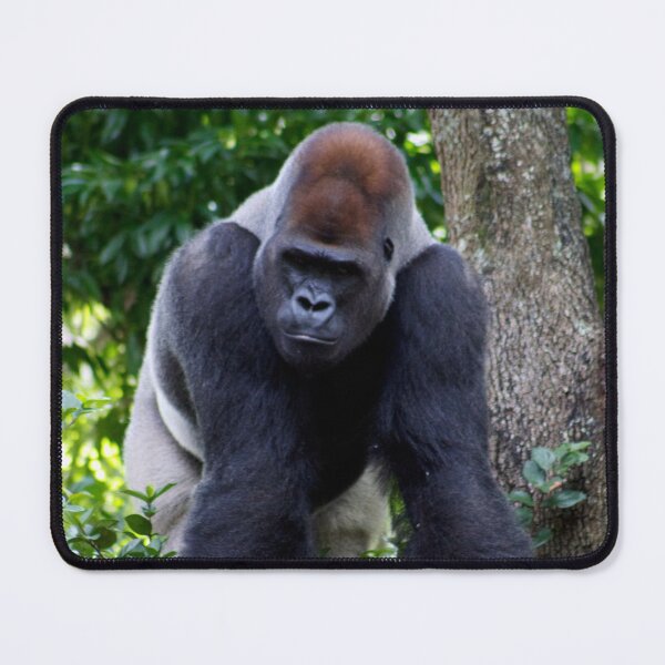 Item preview, Gorilla in the Jungle designed and sold by bjcoving.