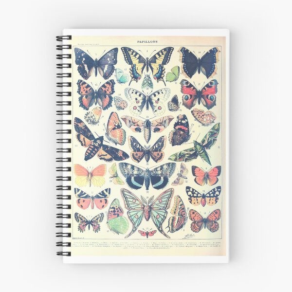 Item preview, Vintage Botanical Butterfly Moth Illustration No.2 designed and sold by TheLykosApparel.
