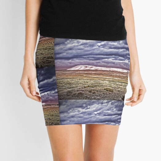 Mini Skirt