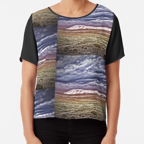 Chiffon Top