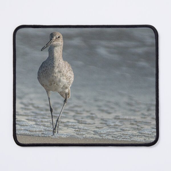 Item preview, Osprey designed and sold by KensLensDesigns.