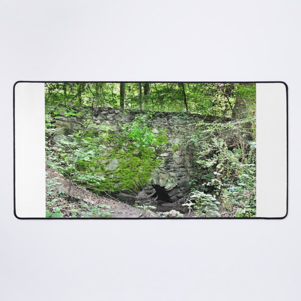 Item preview, Hidden Stone Wall At Landsford Canal State Park South Carolina designed and sold by LisaWootenPhoto.