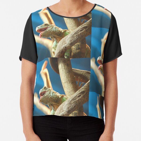 Chiffon Top