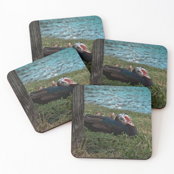 Item preview, Florida Duck Resting In The Grass designed and sold by SaraMargolis.
