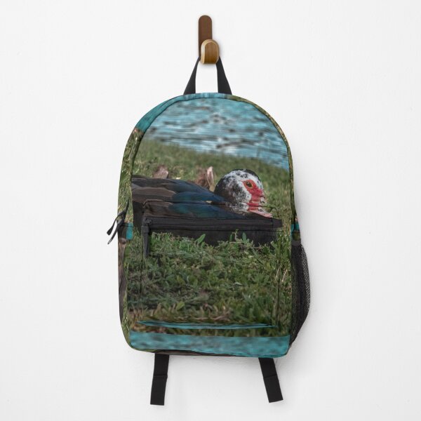 Item preview, Florida Duck Resting In The Grass designed and sold by SaraMargolis.