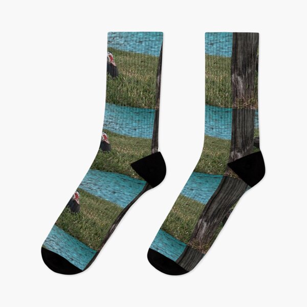 Item preview, Florida Duck Resting In The Grass designed and sold by SaraMargolis.