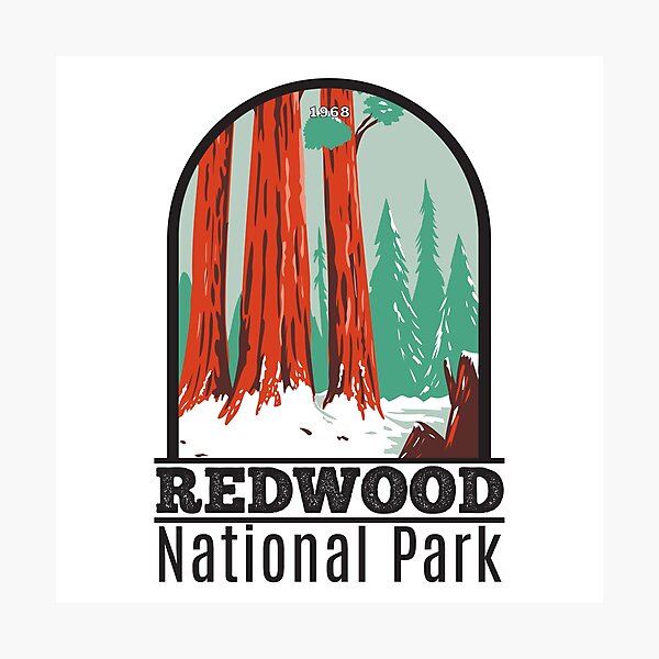 Item preview, Redwood National Park In Winter California designed and sold by KrisSidDesigns.