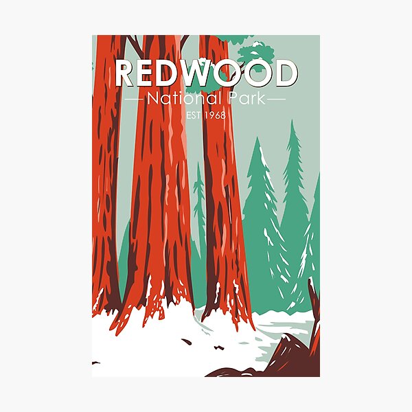 Item preview, Redwood National Park In Winter California Vintage designed and sold by KrisSidDesigns.