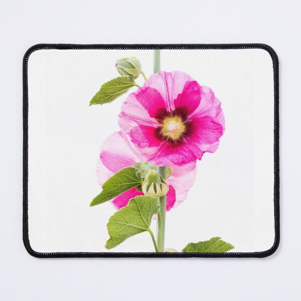 Item preview, Hollyhock designed and sold by Dency Kane.