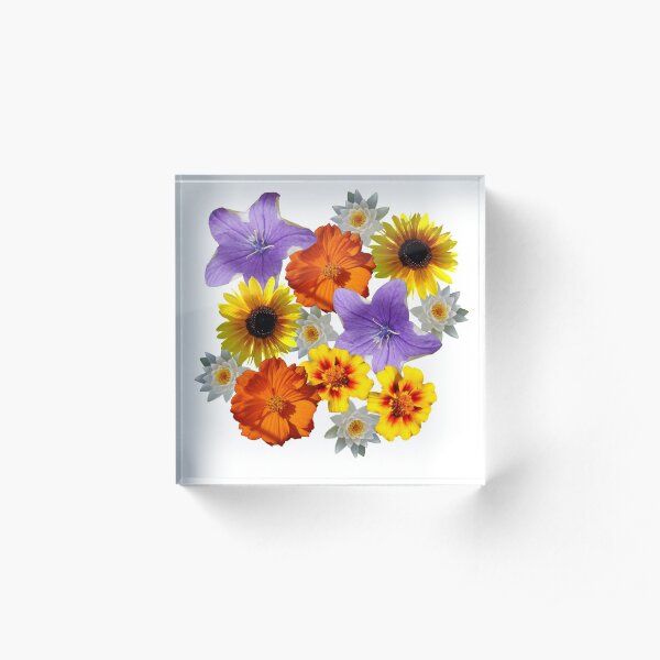 Acrylic Block