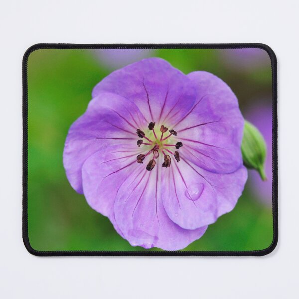 Item preview, Geranium designed and sold by Dency Kane.