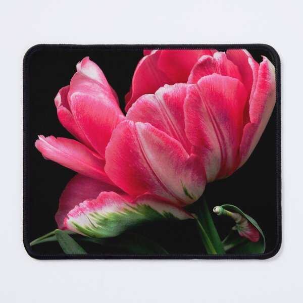 Item preview, Springtime Tulip designed and sold by Dency Kane.