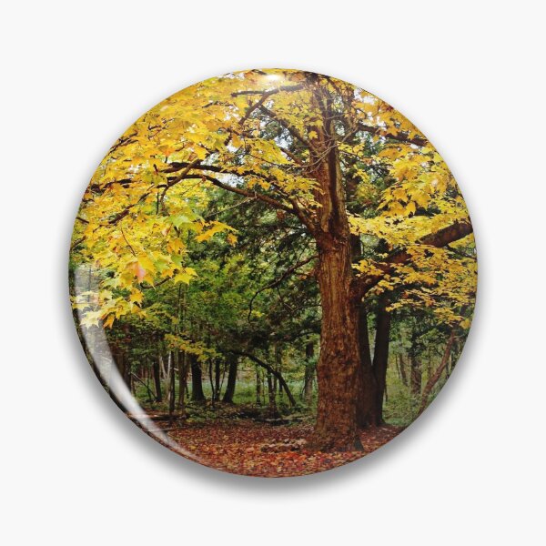 Item preview, Elora Gorge Camping In Fall designed and sold by Debbie Oppermann.