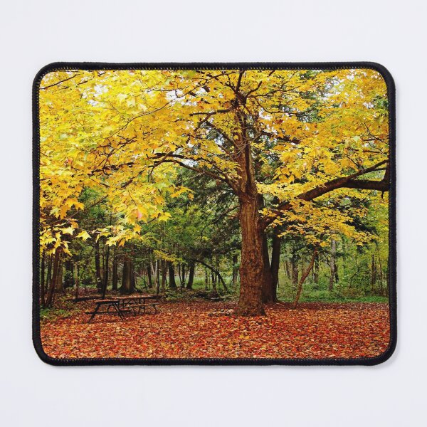 Item preview, Elora Gorge Camping In Fall designed and sold by Debbie Oppermann.