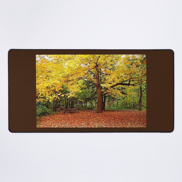 Elora Gorge Camping In Fall Desk Mat