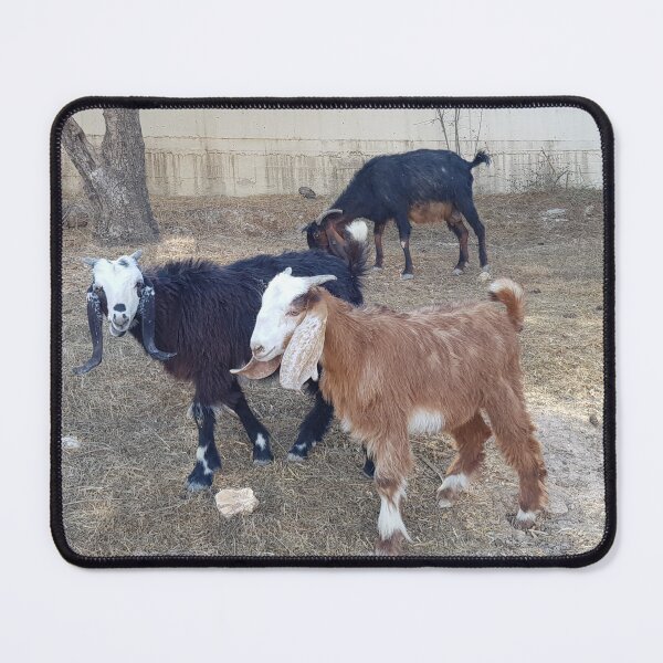 Item preview, Kids behind the UN building, Jebel Mukaber. designed and sold by EsterKarenAida.