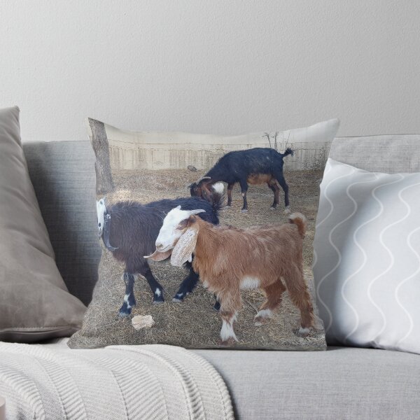 Item preview, Kids behind the UN building, Jebel Mukaber.  designed and sold by EsterKarenAida.
