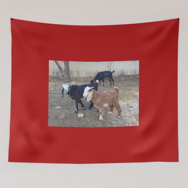 Item preview, Kids behind the UN building, Jebel Mukaber. designed and sold by EsterKarenAida.