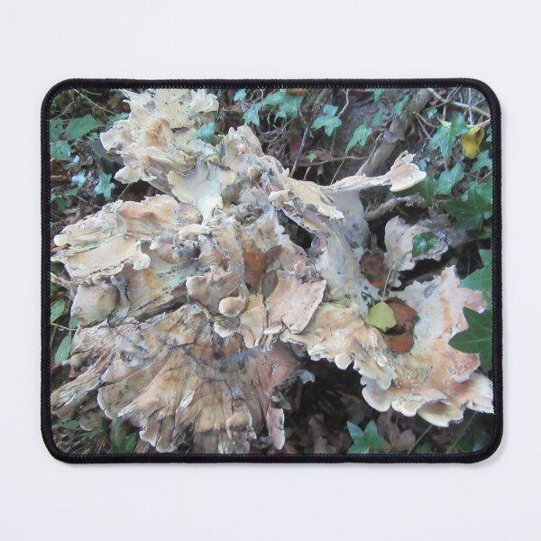 Item preview, Bracket Fungus By The River Avon - UK designed and sold by lezvee.