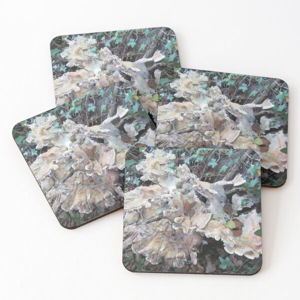 Item preview, Bracket Fungus By The River Avon - UK designed and sold by lezvee.