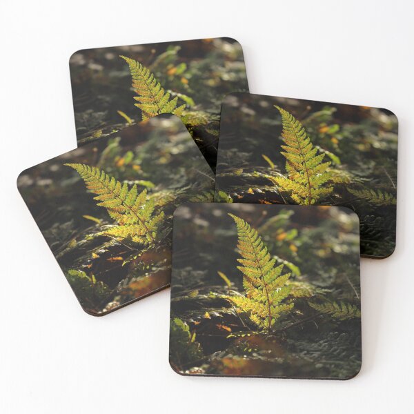 Item preview, Digital photograph of sunlit fern designed and sold by SimonJohnson1.