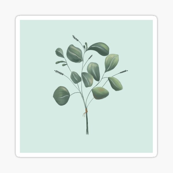 Eucalyptus Sticker