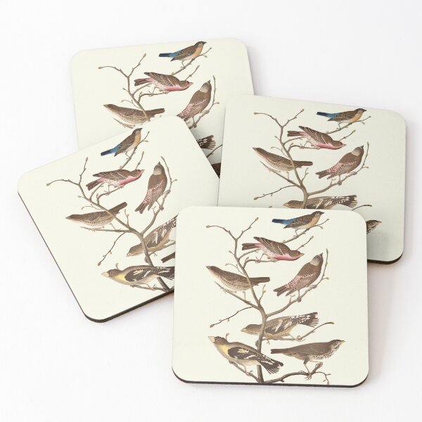 Item preview, Fringillids and Icterid / Sparrows and Finches - Audubon designed and sold by sanerevolution.