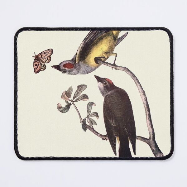Item preview, Arkansas Kingbird -Audubon designed and sold by sanerevolution.