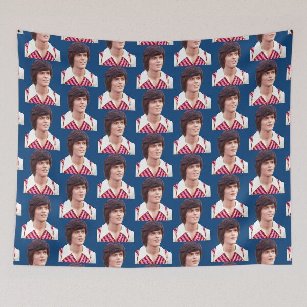 Item preview, Donny Osmond Young      designed and sold by MemoryVintage72.