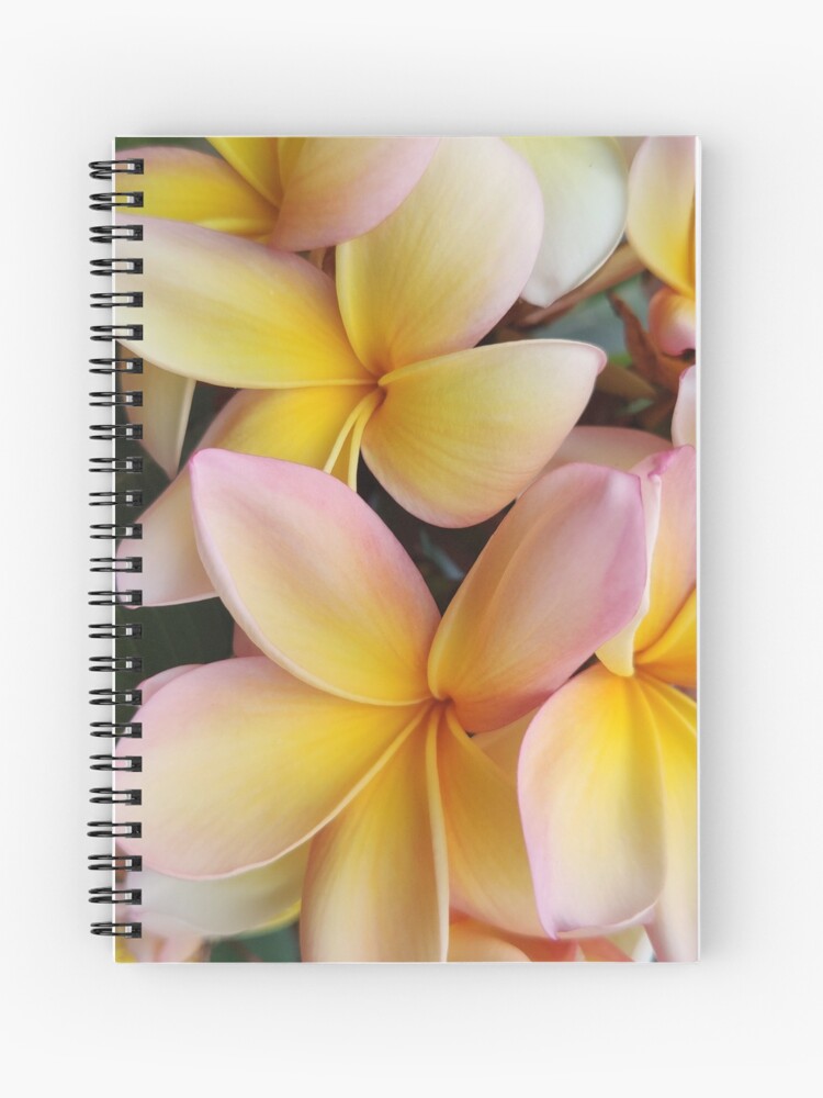 Cuaderno de espiral «Flor de la isla de Madeira Natural» de whatvr |  Redbubble