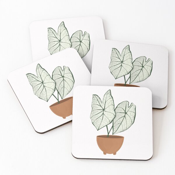 Item preview, Caladium Candidum / Angel Wings Caladium / Houseplant designed and sold by WithAhava.
