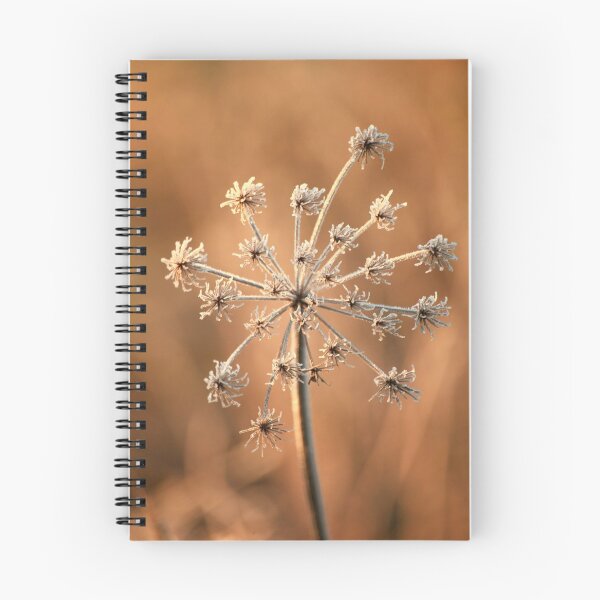Item preview, Digital Photograph of Frosted grass designed and sold by SimonJohnson1.