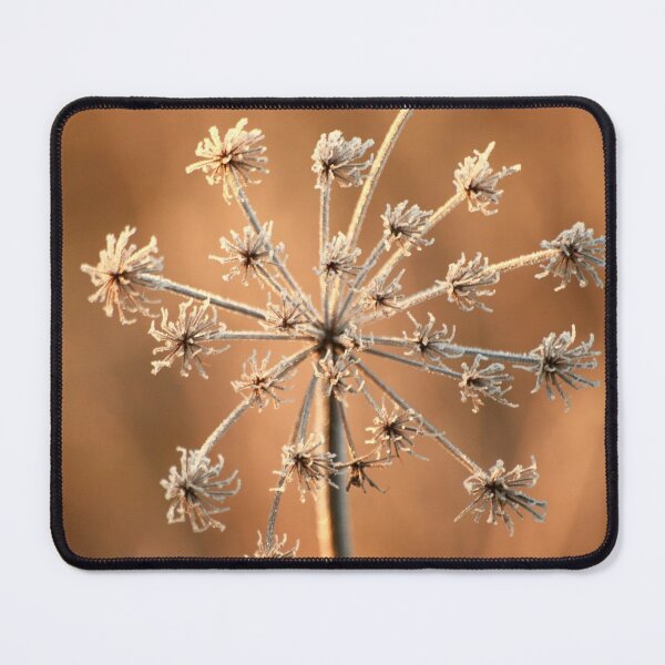 Item preview, Digital Photograph of Frosted grass designed and sold by SimonJohnson1.