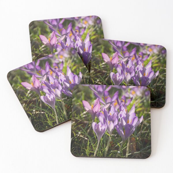 Item preview, Crocuses designed and sold by Carolyn Eaton.